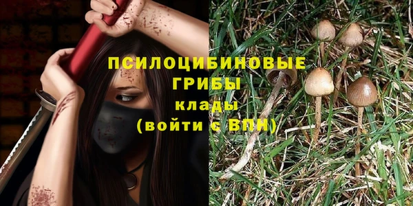 трава Балахна