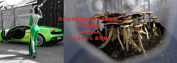 трава Балахна