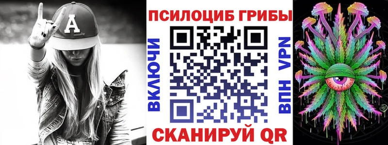 где купить Няндома Галлюциногенные грибы Psilocybine cubensis